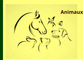 Animaux