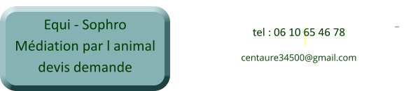 Equi - SophroMdiation par l animal devis demande  tel : 06 10 65 46 78 centaure34500@gmail.com